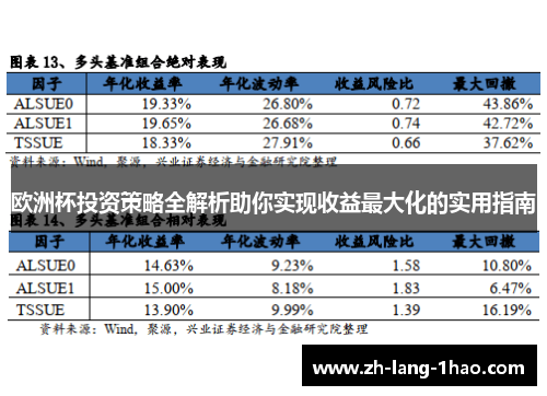 欧洲杯投资策略全解析助你实现收益最大化的实用指南