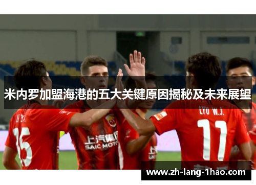 米内罗加盟海港的五大关键原因揭秘及未来展望