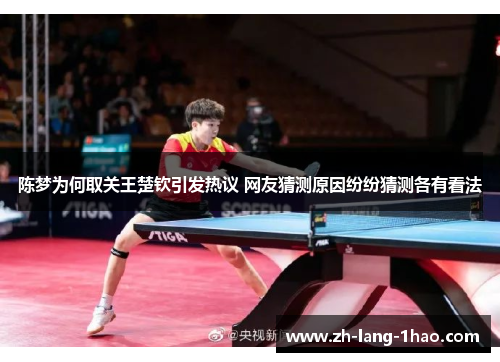 陈梦为何取关王楚钦引发热议 网友猜测原因纷纷猜测各有看法 陈梦为何取关王楚钦引发热议 网友猜测原因纷纷猜测各有看法